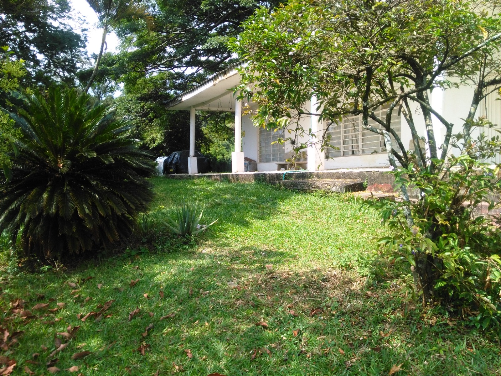 WhatsApp Image 2025-02-26 at 9.06.40 AM (2)